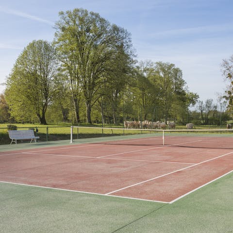 Play tennis while animals graze the fields around