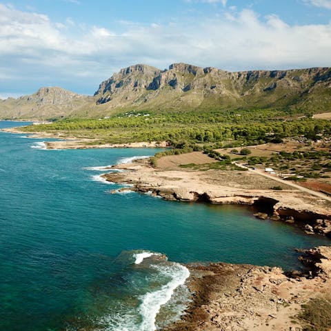 Drive to the coast to take a boat tour – it's a thirty-minute drive