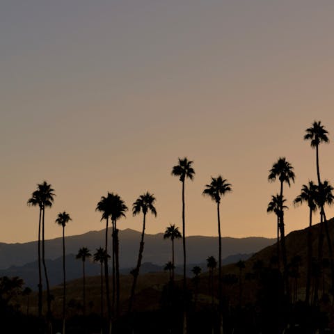 Explore the Old Las Palmas district of Palm Springs with its modernist homes