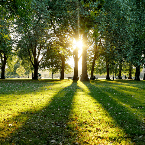 Wake up and enjoy a stroll through the trees of Hyde Park