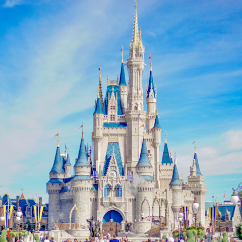 Begin your stay in Florida with a magical trip to Disney World
