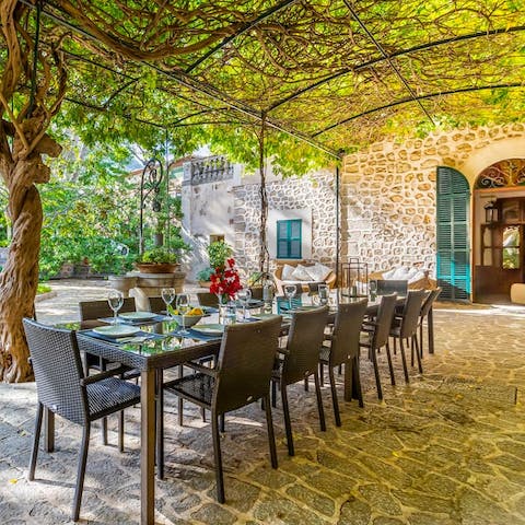 Feast underneath the vine-covered canopy