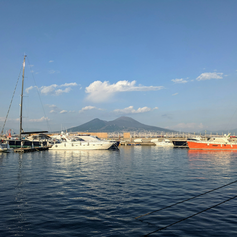 Enjoy a stroll to the Port of Naples, thirty minutes away