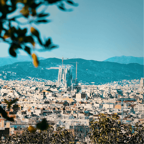 Explore the beautiful city on your doorstep – your home is within a ten-minute walk of Plaza Cataluña and Las Ramblas