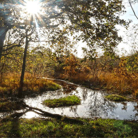 Stroll into Putney and enjoy exploring the park