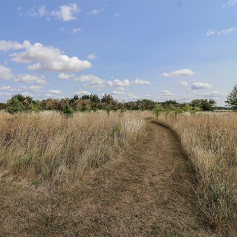 Reconnect with nature, with the fields of the Cotswolds right on your doorstep