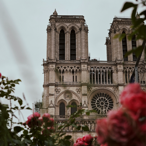 Visit the Notre-Dame Cathedral of Paris, just twenty-five minutes away