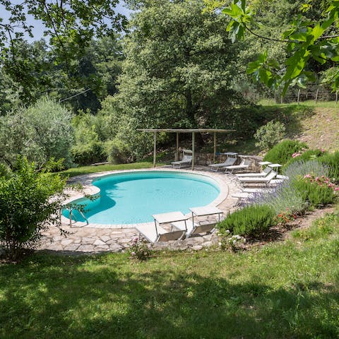 Cool off in the swimming pool in the lush gardens