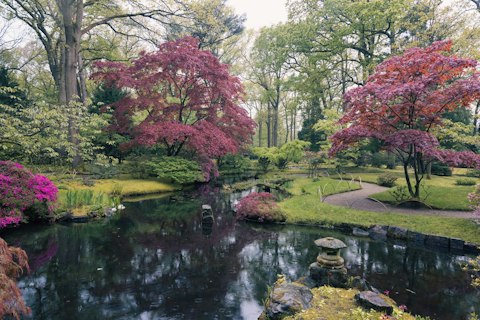Explore Holland Park's woodland gardens, an eleven-minute walk away