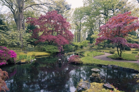 Explore Holland Park's woodland gardens, an eleven-minute walk away