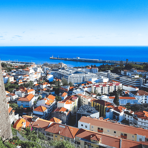 Explore the gorgeous gardens, idyllic harbour and Madeira wine cellars of Funchal
