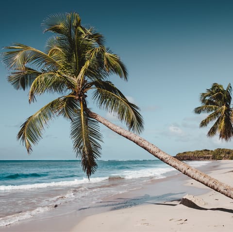 Spend a sun-soaked day on the sands of Carbet Beach, a short drive away