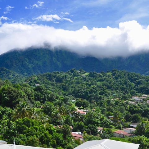 Hike through the luscious trails through the peaks of Morne Vert