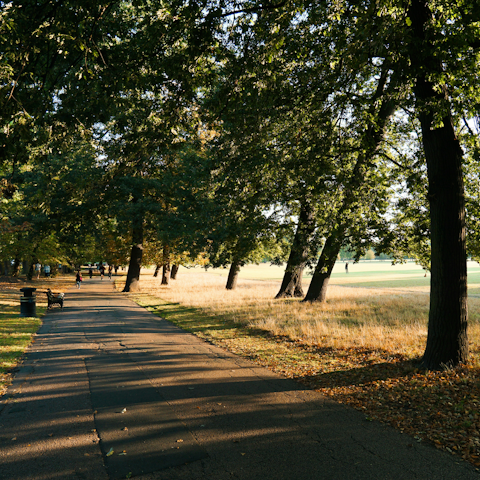 Start your London stay with a stroll in nearby Clissold Park