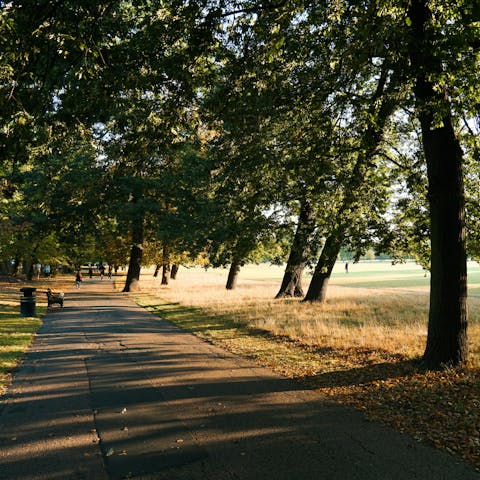 Start your London stay with a stroll in nearby Clissold Park
