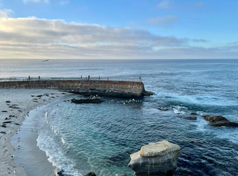 Snorkel alongside sea lions at La Jolla Cove's crystal-clear Pacific waters