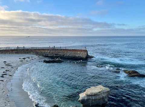 Snorkel alongside sea lions at La Jolla Cove's crystal-clear Pacific waters