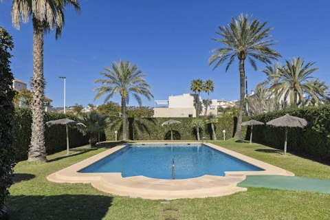 Cool off in the shared pool beneath palm trees and blue skies