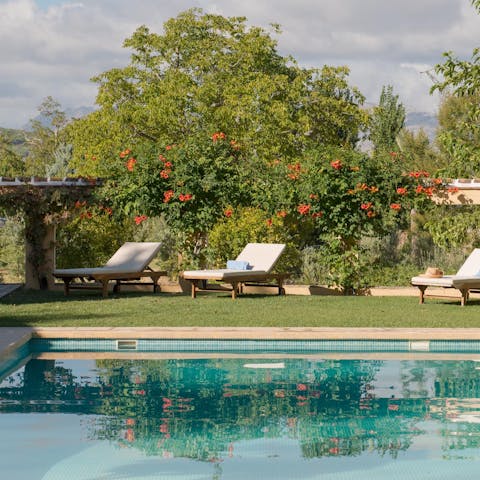 Start your day with a swim