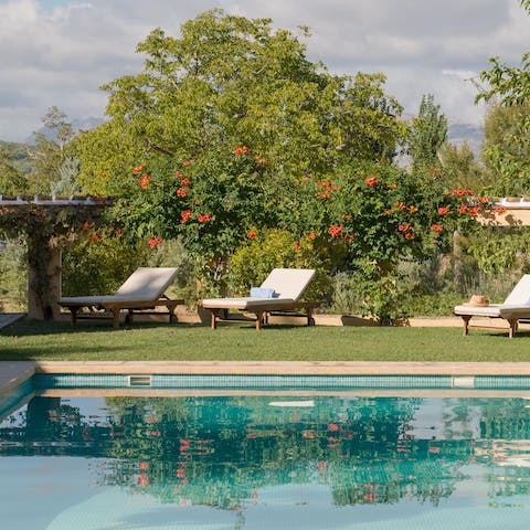 Start your day with a swim