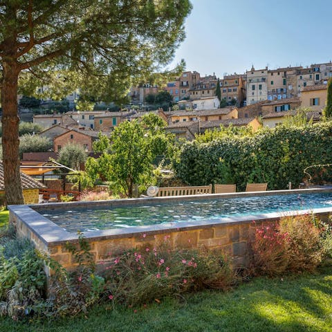 Enjoy the views while swimming in the private pool