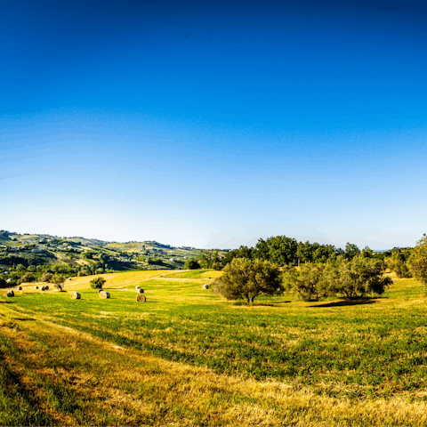 Hike around the stunning Italian countryside and find olive trees and rolling hills