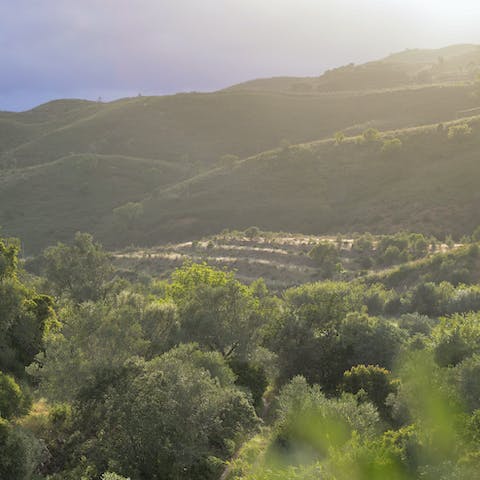 Take in that panoramic view with a glass of Vinho Verde, a typical Portuguese wine