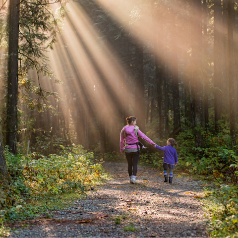 Follow the Laurie Lee Wildlife Way right on your doorstep
