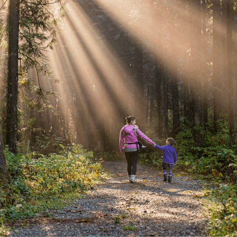 Follow the Laurie Lee Wildlife Way right on your doorstep