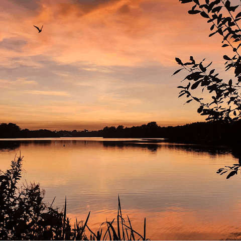 Discover the beauty of the Whitlingham Great Broad, only a twenty-two-minute drive away