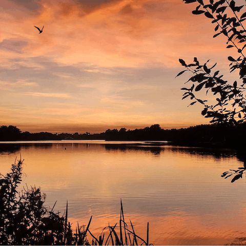 Discover the beauty of the Whitlingham Great Broad, only a twenty-two-minute drive away