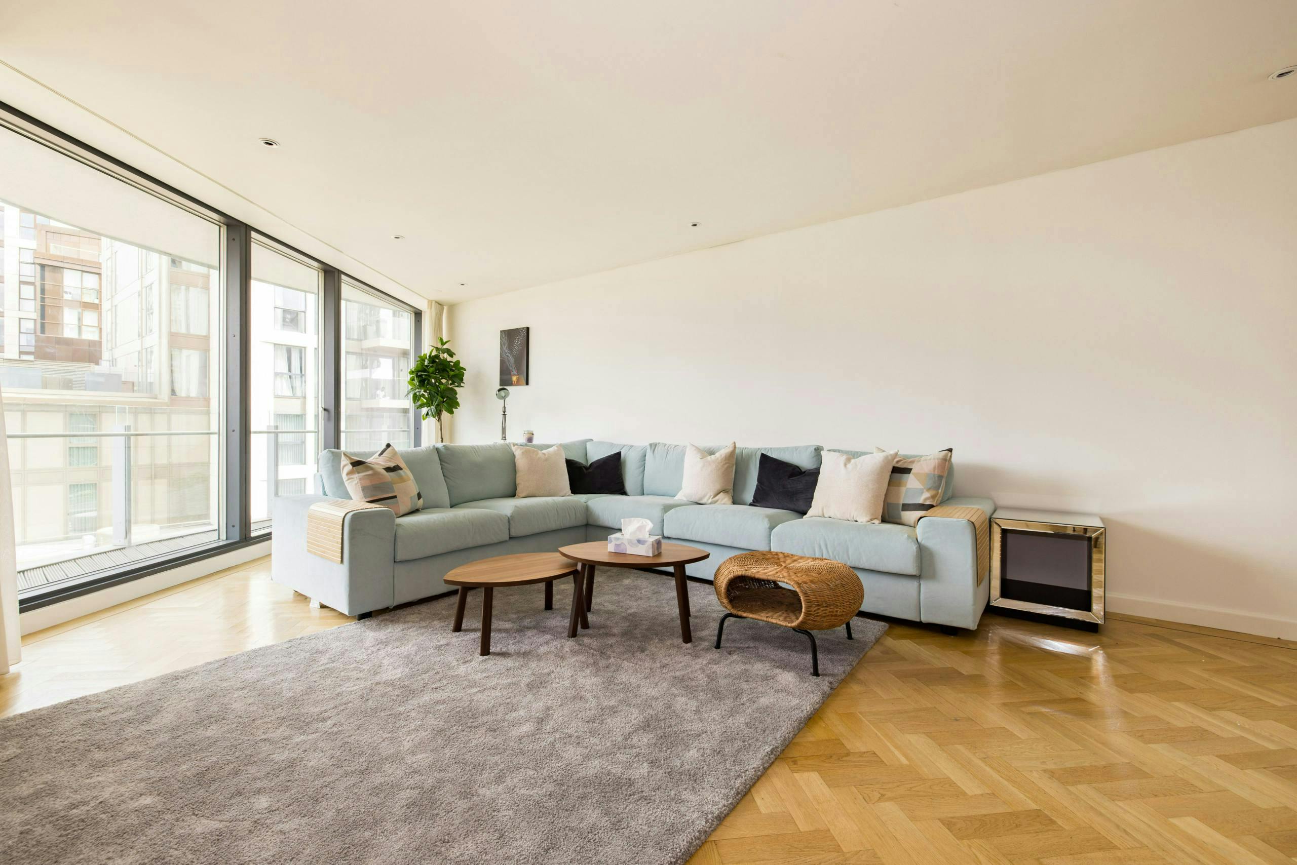 Paddington Perfection