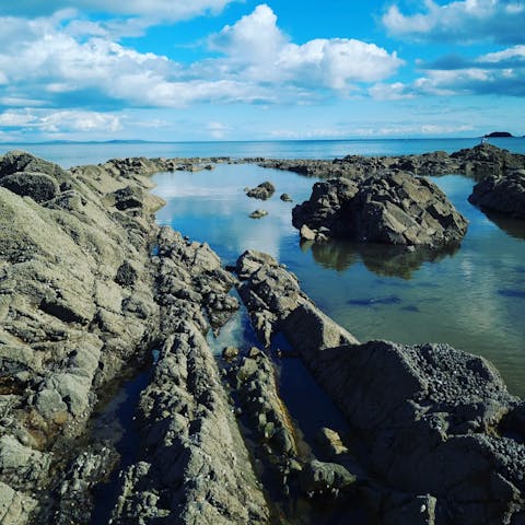 Go rock pooling on Saundersfoot Beach, a seven-minute drive away