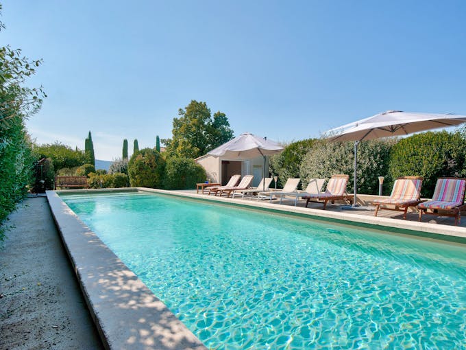 Luberon Vines