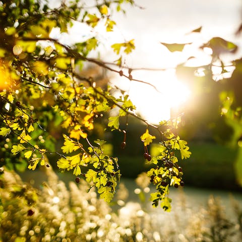 Put on your hiking boots and explore the Suffolk countryside