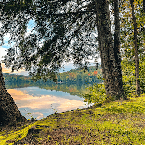 Stay in the forest and hike the trails into the Catskill Mountains