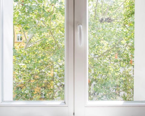 Leafy views from the dining table