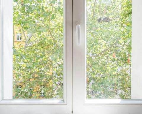 Leafy views from the dining table