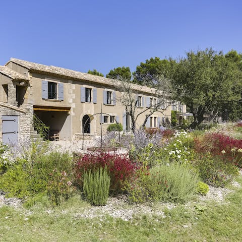 Take a stroll around the gorgeous garden and breathe in the lavender