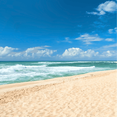 Explore the famous Southern California shores