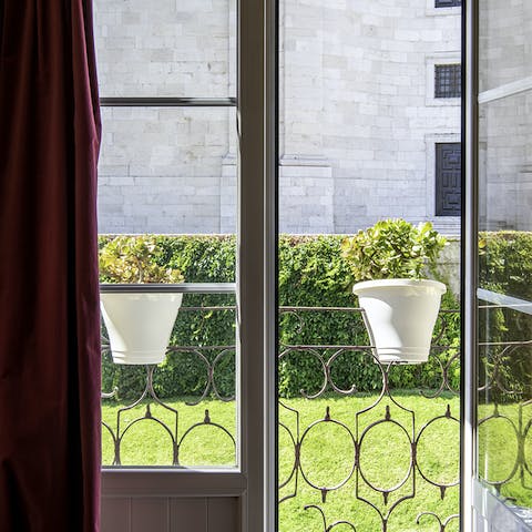 A view of the garden