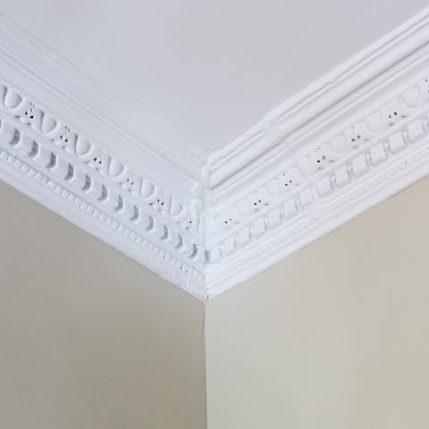 The intricate cornicing