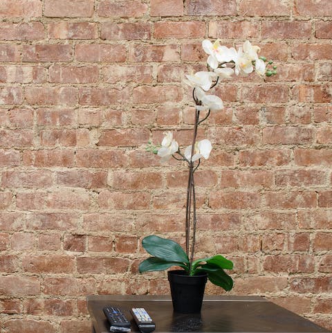 The exposed brick wall