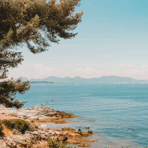 Rub shoulders with A-listers on the glamorous Côte d'Azur