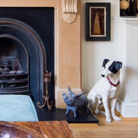 A Menagerie of animals