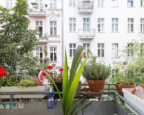 Lots of greenery on the tiny balcony