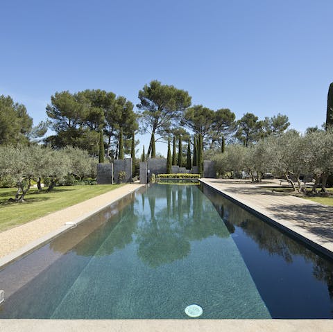 Take a plunge in the 24 metre pool