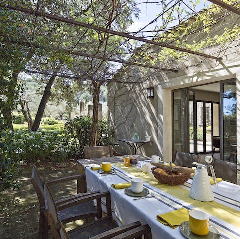 The romantic vine covered terrace