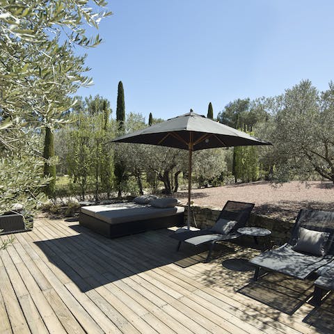 A sun soaked deck surrounded by olive trees