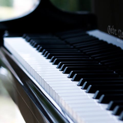 Impress your friends with a tune played on the piano